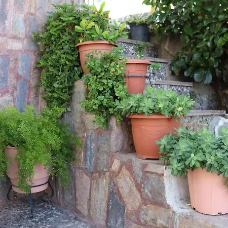 Daire Mary's House *